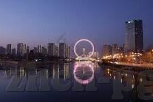 中班语言森林舞会教案-中班语言活动，森林舞会教案